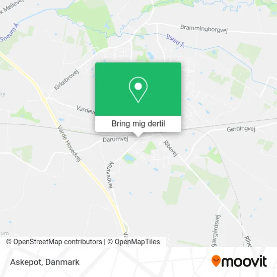 Askepot kort