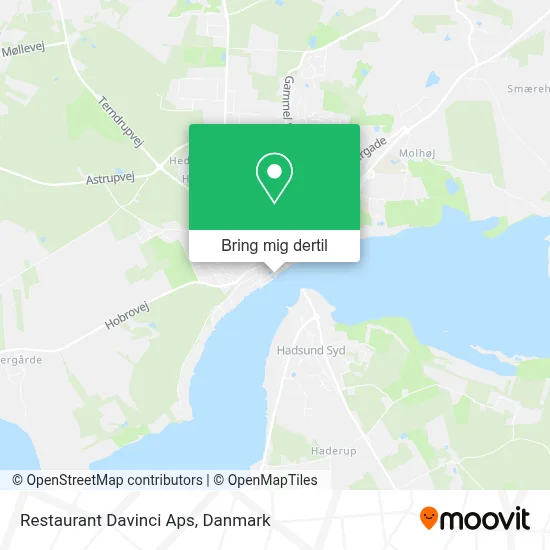 Restaurant Davinci Aps kort