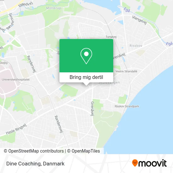 Dine Coaching kort