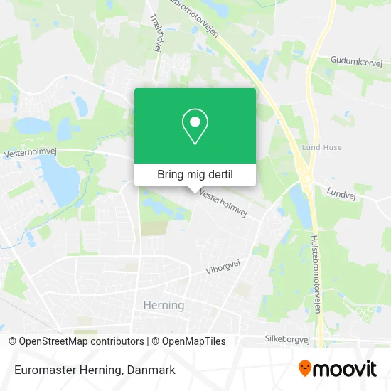 Euromaster Herning kort