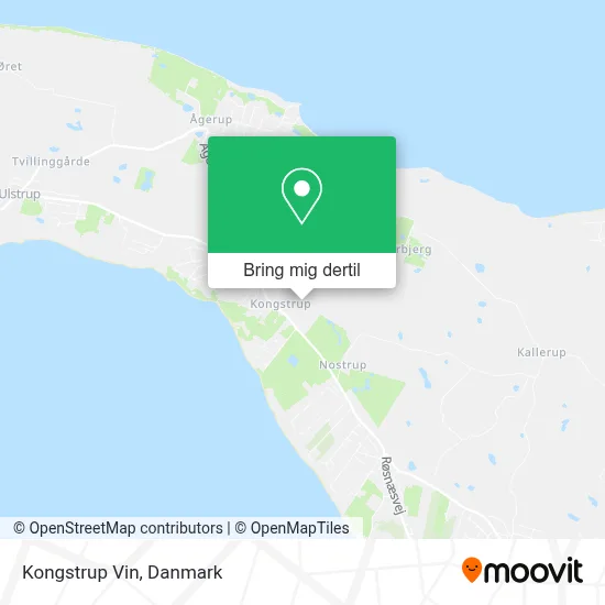 Kongstrup Vin kort