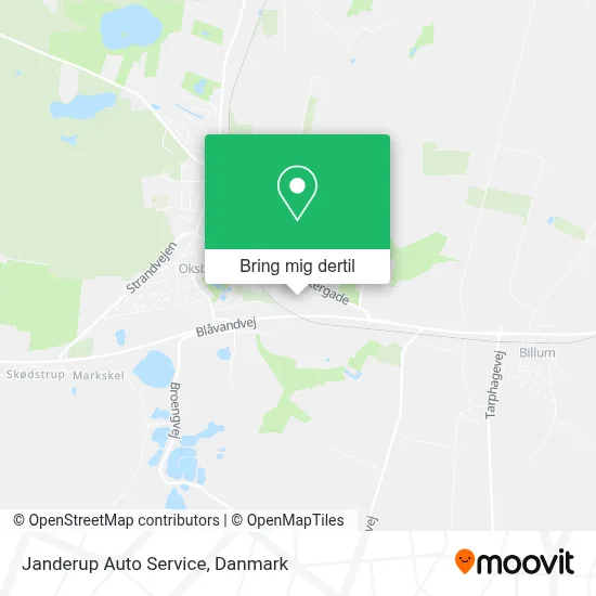 Janderup Auto Service kort
