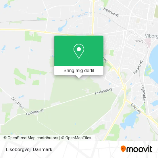 Liseborgvej kort