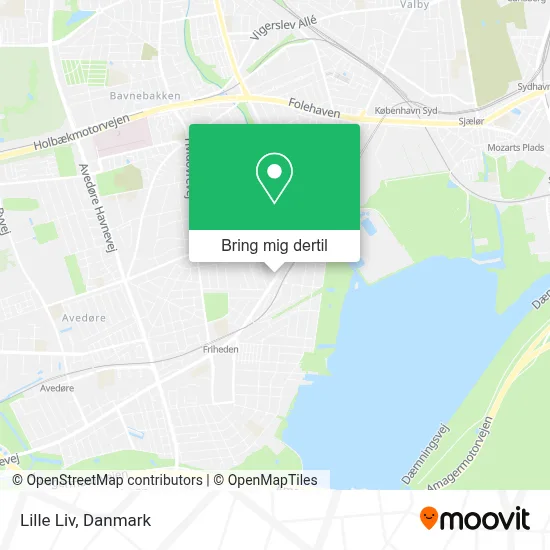 Lille Liv kort