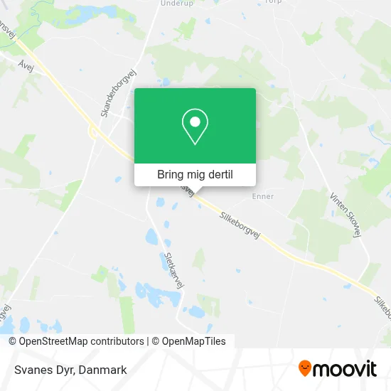 Svanes Dyr kort