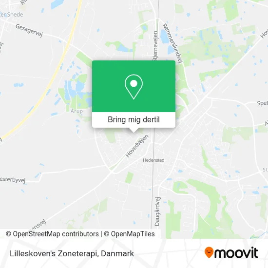 Lilleskoven's Zoneterapi kort