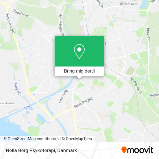 Nella Berg Psykoterapi kort