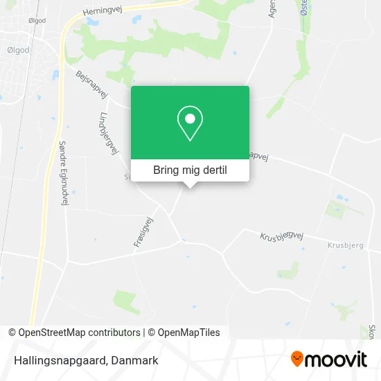Hallingsnapgaard kort