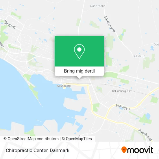 Chiropractic Center kort
