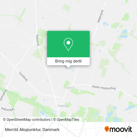 Merrild Akupunktur kort