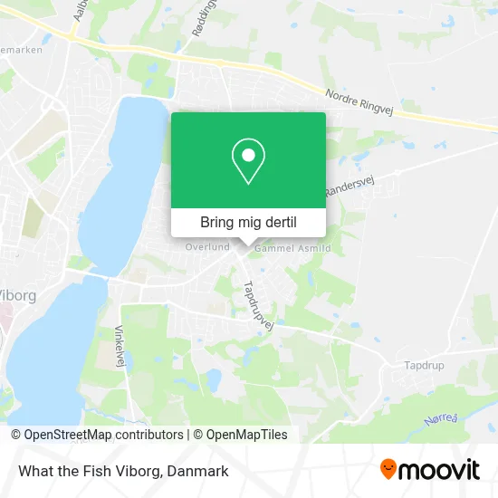 What the Fish Viborg kort