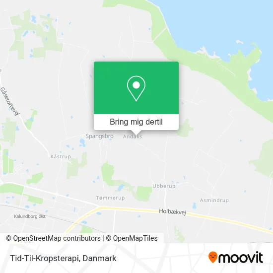 Tid-Til-Kropsterapi kort
