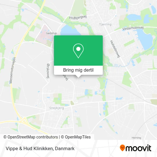 Vippe & Hud Klinikken kort