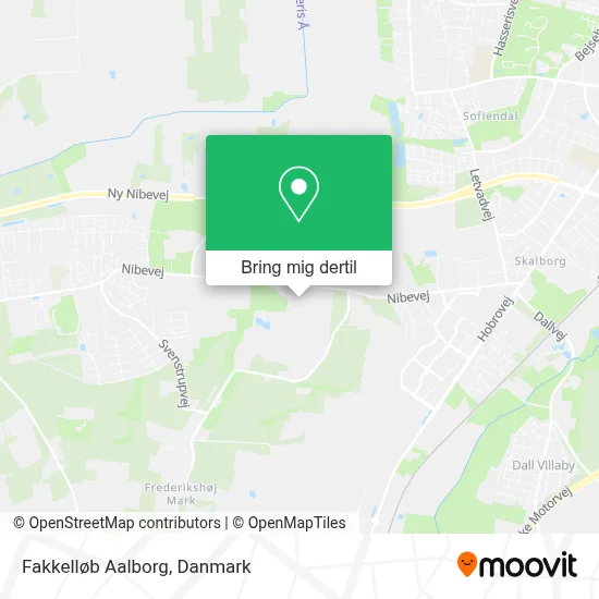 Fakkelløb Aalborg kort