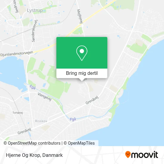 Hjerne Og Krop kort