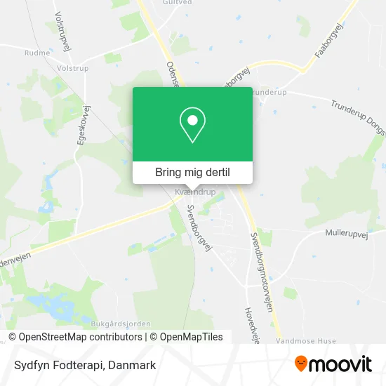 Sydfyn Fodterapi kort