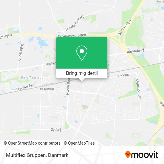 Multiflex Gruppen kort