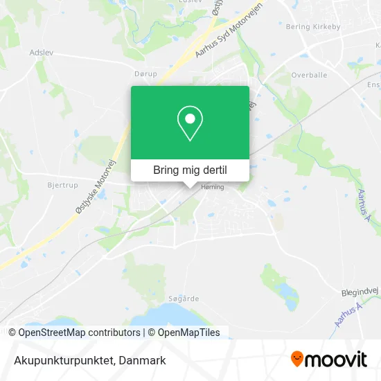 Akupunkturpunktet kort