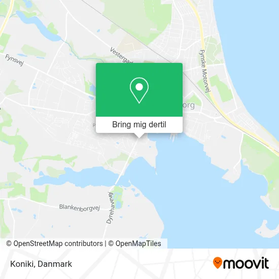 Koniki kort