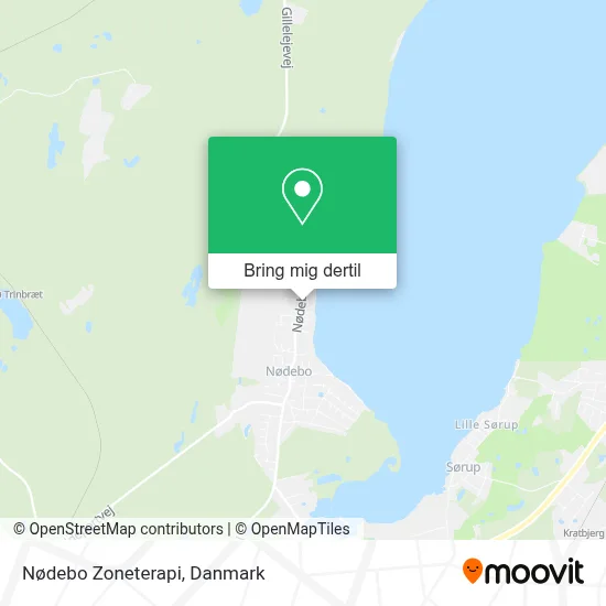 Nødebo Zoneterapi kort