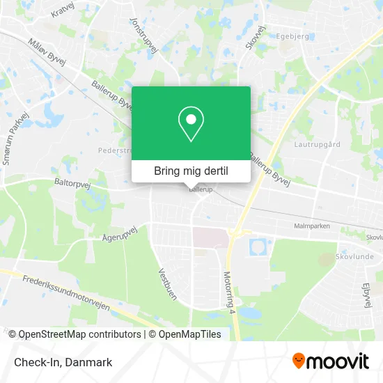 Check-In kort