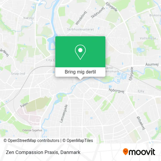 Zen Compassion Praxis kort