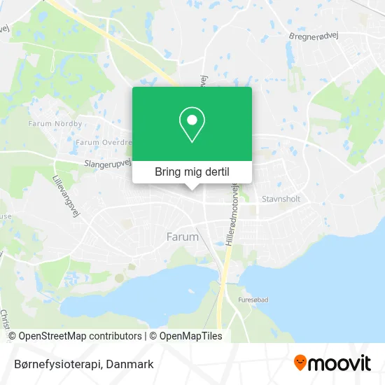 Børnefysioterapi kort