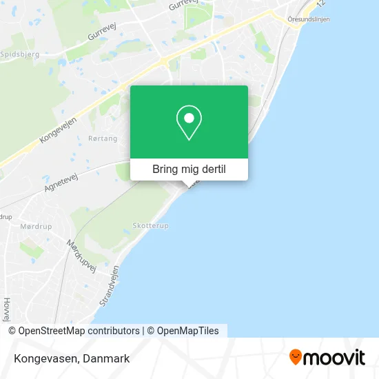 Kongevasen kort
