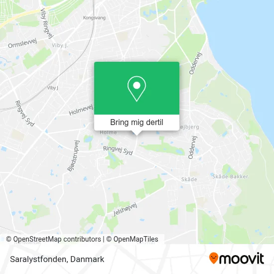 Saralystfonden kort