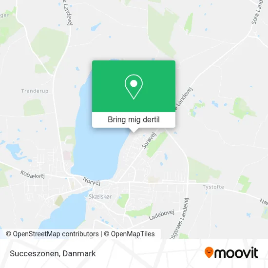 Succeszonen kort