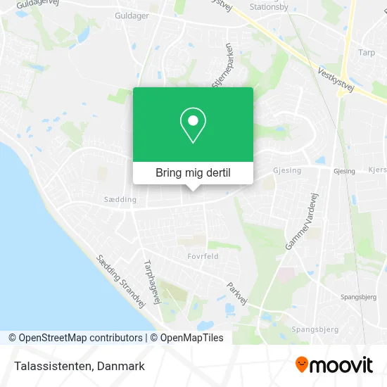 Talassistenten kort
