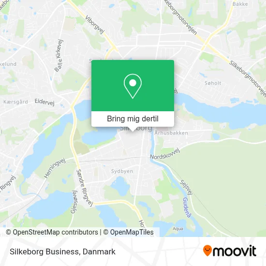 Silkeborg Business kort