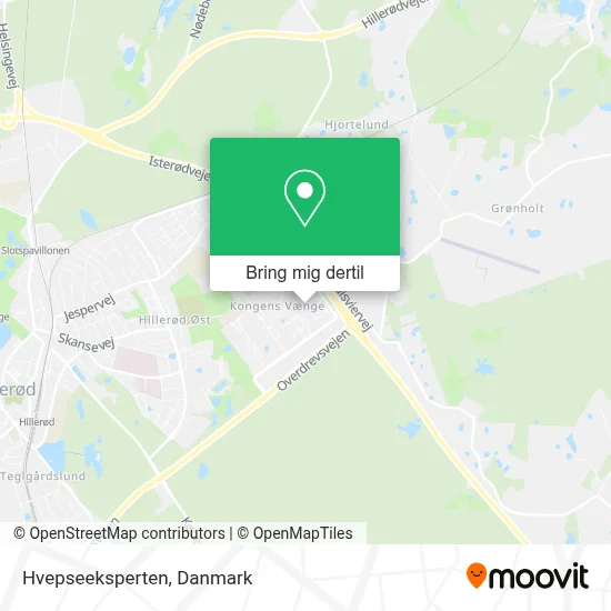Hvepseeksperten kort