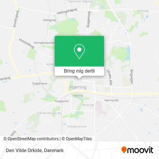 Den Vilde Orkide kort