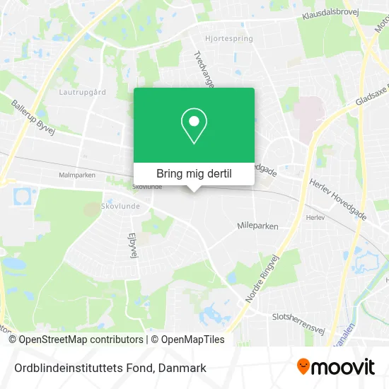 Ordblindeinstituttets Fond kort