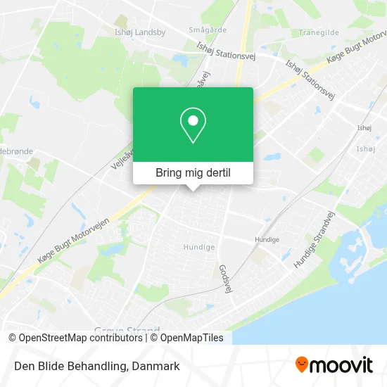 Den Blide Behandling kort