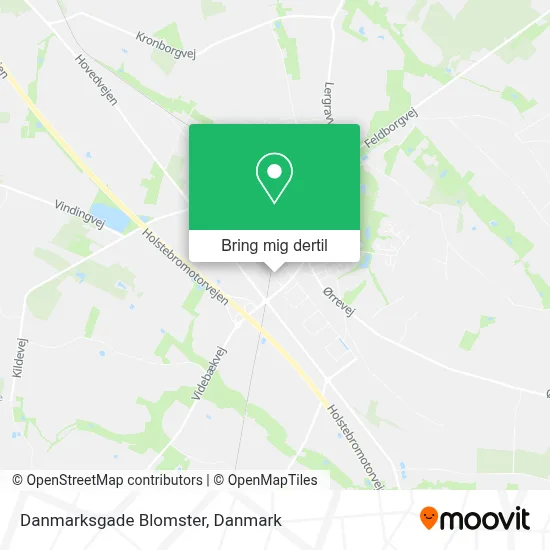 Danmarksgade Blomster kort