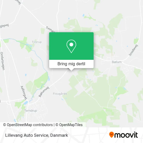 Lillevang Auto Service kort