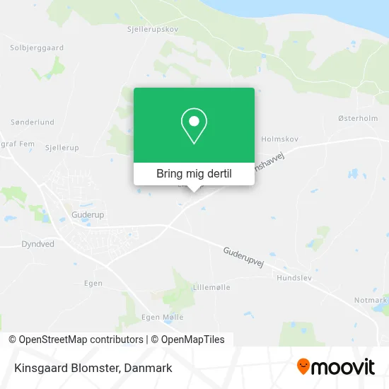 Kinsgaard Blomster kort