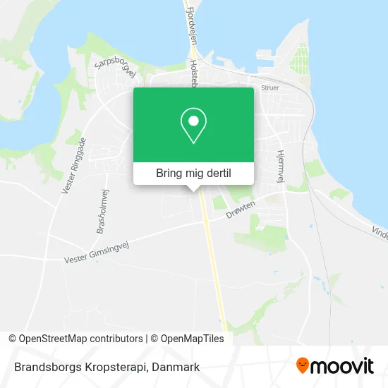 Brandsborgs Kropsterapi kort