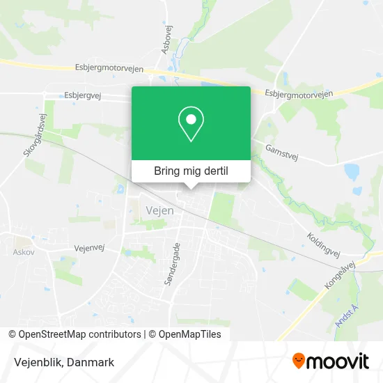 Vejenblik kort