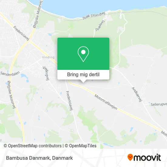 Bambusa Danmark kort