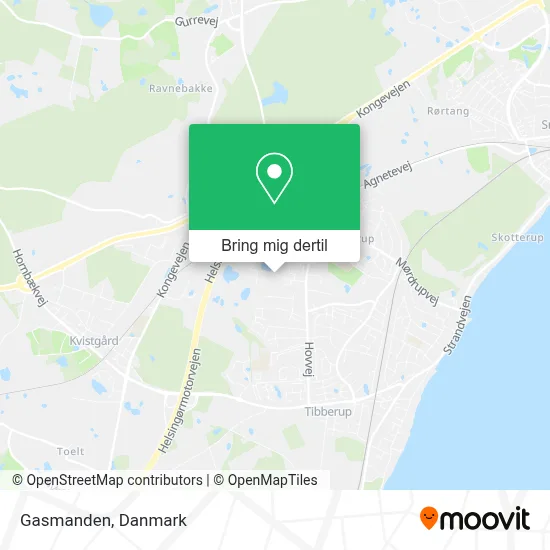 Gasmanden kort