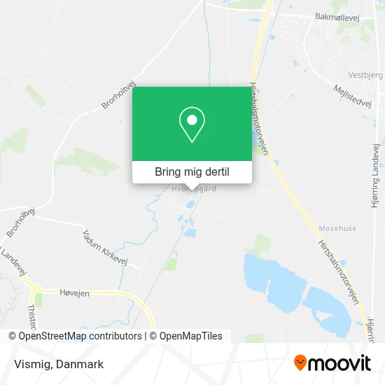 Vismig kort