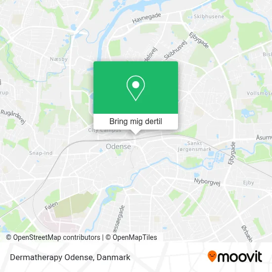 Dermatherapy Odense kort