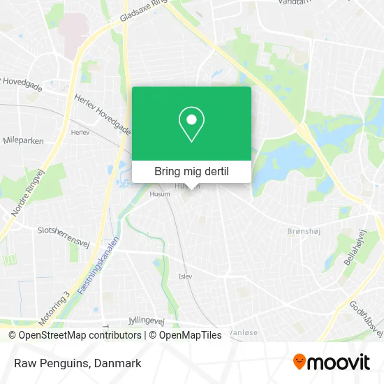 Raw Penguins kort