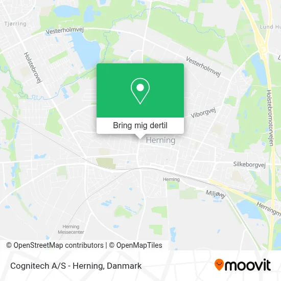 Cognitech A/S - Herning kort