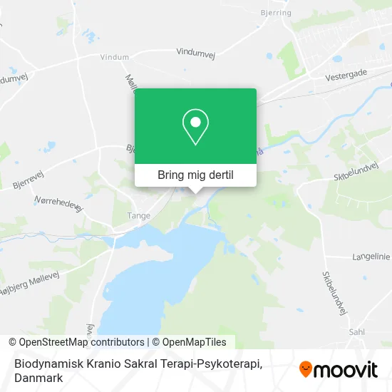 Biodynamisk Kranio Sakral Terapi-Psykoterapi kort
