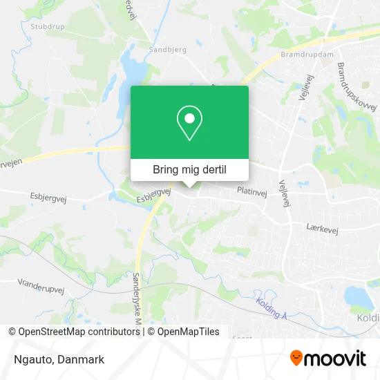 Ngauto kort