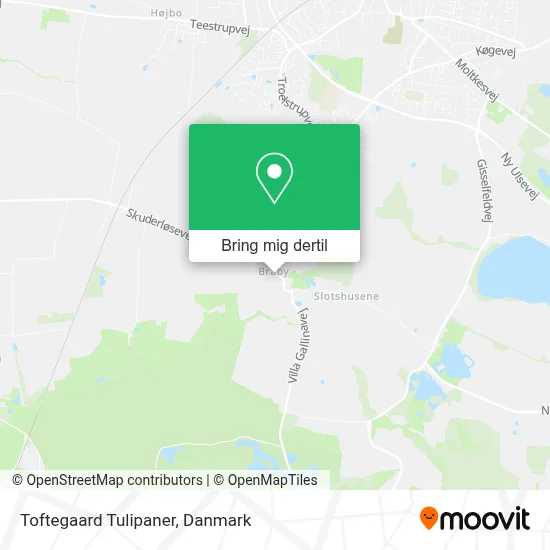 Toftegaard Tulipaner kort